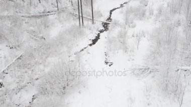 karla kaplı Karpat orman