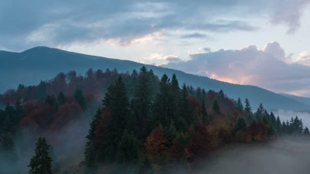 喀尔巴阡森林与多云的天空 — 图库视频影像
