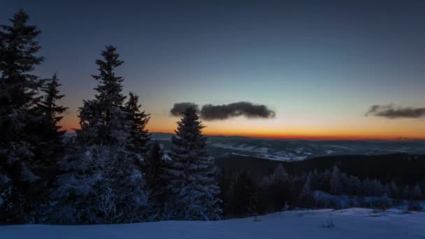 Bosque de carpatos de invierno en la puesta del sol — Vídeo de stock