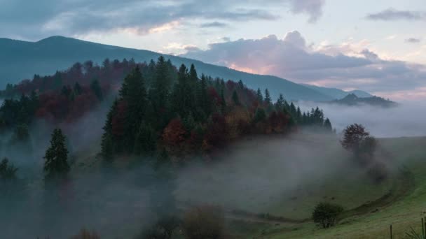 喀尔巴阡森林与多云的天空 — 图库视频影像