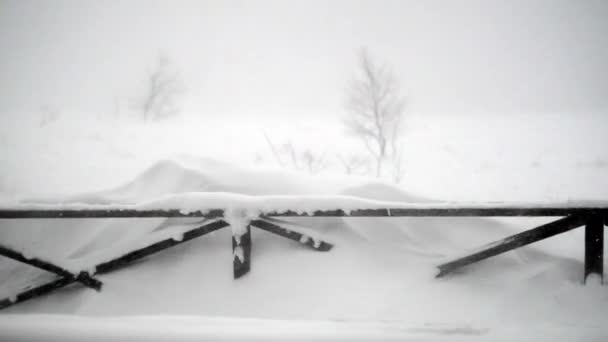 Schneereicher Winter in den Karpaten — Stockvideo