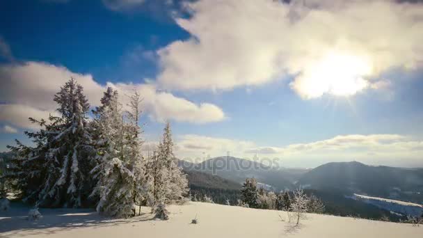 Vakkert landskap i vinterskogen – stockvideo