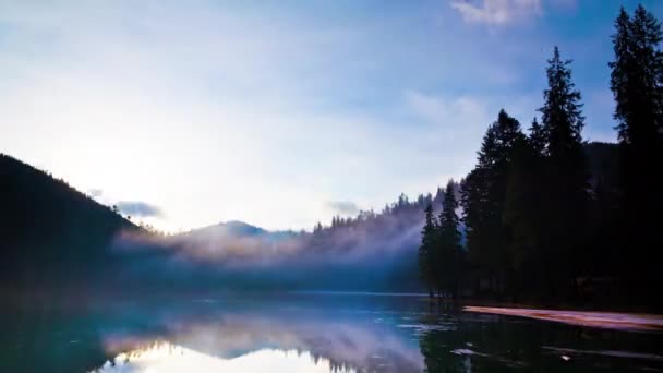 Río tranquilo y árboles verdes — Vídeos de Stock