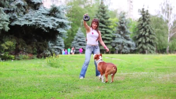 Mujer con perro en el parque — Vídeo de stock