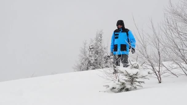 Carpathian forest with male photographer — Stock Video