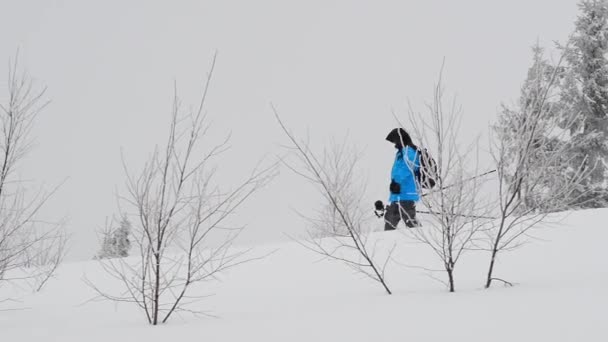 Forêt de carpates avec photographe masculin — Video