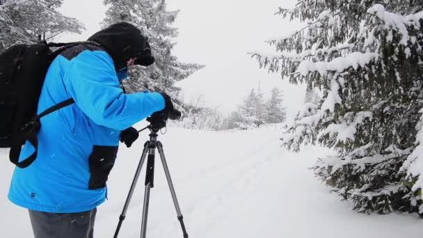 Карпатський ліс з чоловічим фотографом — стокове відео