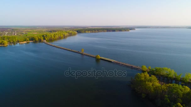 Latające nad rzeka i drzew — Wideo stockowe