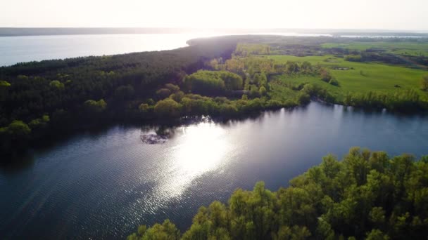 Volando sobre el río y los árboles — Vídeos de Stock