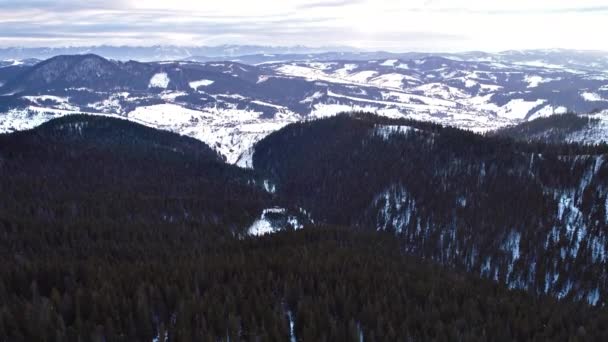 Carpathian mountains at winter — Stock Video