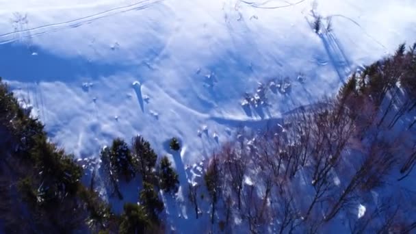 Montañas de los Cárpatos en invierno — Vídeo de stock