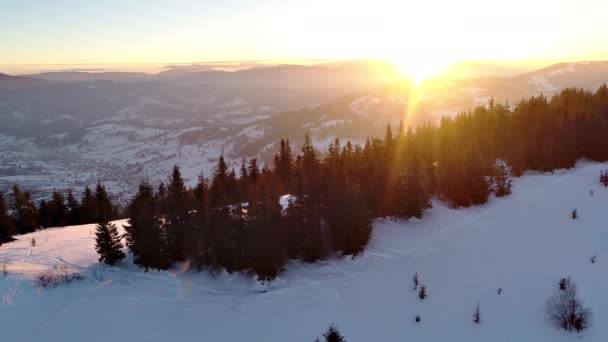 Montagnes carpates au coucher du soleil — Video