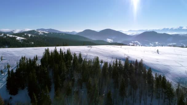 Güneşli zamanında Karpat Dağları — Stok video