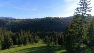 Yeşil Orman 'ın Hava Çekimi