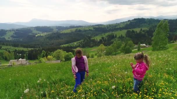 Meninas em campo rasgando flores — Vídeo de Stock