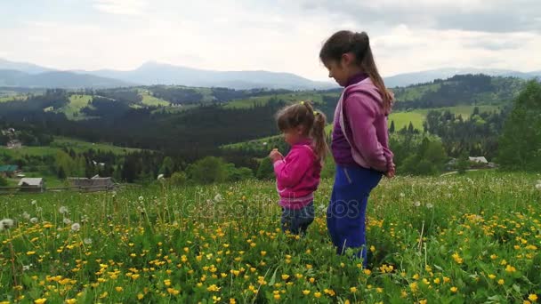Girls in field tearing flowers — Stock Video