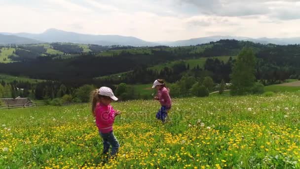 Mädchen im Feld reißen Blumen — Stockvideo