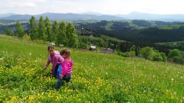 Девушки в поле рвут цветы — стоковое видео
