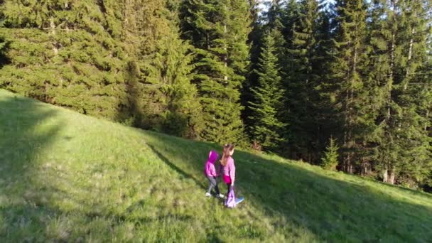 Girls walking at meadow — Stock Video