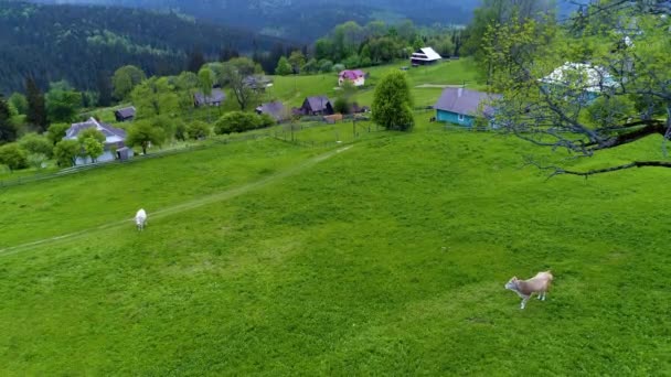 Montanha paisagem aldeia — Vídeo de Stock