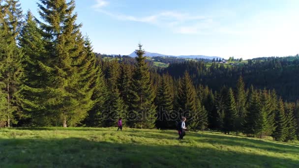 Family walking at meadow — Stock Video