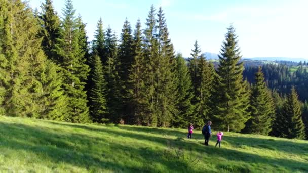 Family walking at meadow — Stock Video