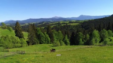 Yeşil Orman 'ın Hava Çekimi