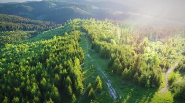 Yeşil Orman 'ın Hava Çekimi