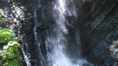 Karpat Dağlarında Şelale