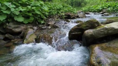 Karpat Dağları'nda su akan 