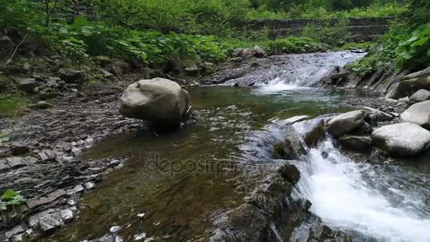 Prachtige rivier in het Karpaten gebergte — Stockvideo