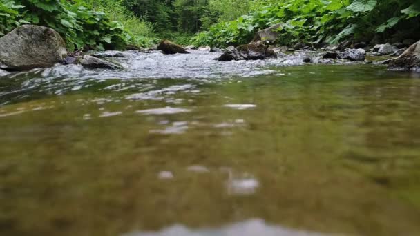 Prachtige rivier in het Karpaten gebergte — Stockvideo