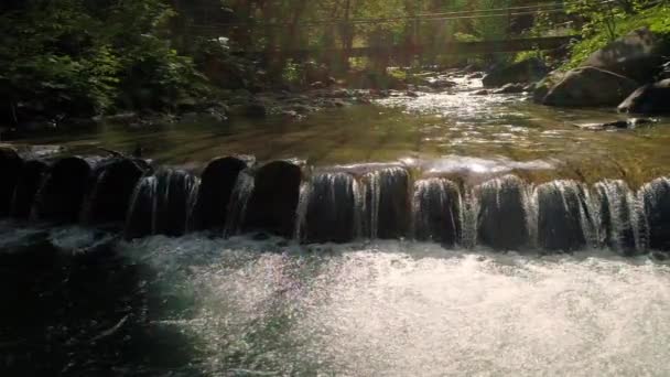 Красивая река в Карпатах — стоковое видео