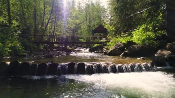 Beautiful river in Carpathian mountains — Stock Video