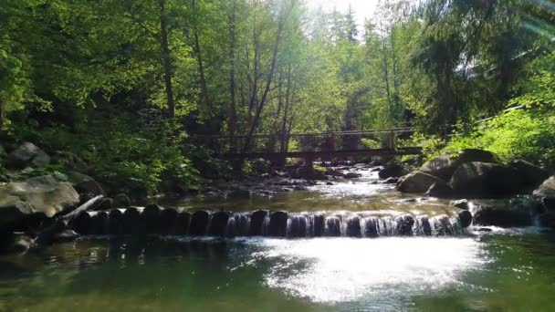 Beautiful river in Carpathian mountains — Stock Video