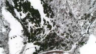 Karpat Dağları'nın peyzaj
