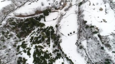 Karpat Dağları'nın peyzaj