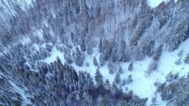 Karpat Dağları kış zamanında 