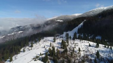 güneşli zamanında Karpat Dağları