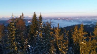 kış gün batımında Karpat Dağları