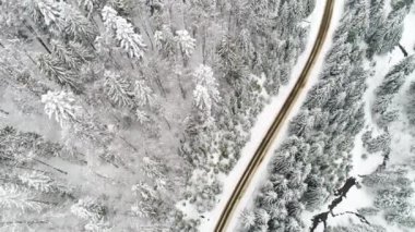Karpat Dağları kar ile
