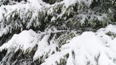 Karpat Dağları kar ile