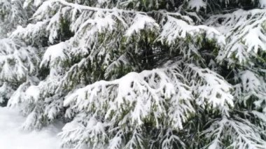 Karpat Dağları kar ile