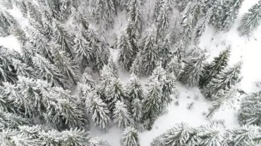 Karpat Dağları kar ile