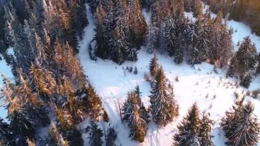 kış gün batımında Karpat Dağları