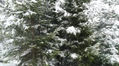 Karpat Dağları kar ile