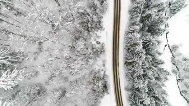 Karpatene fjell med snø – stockvideo