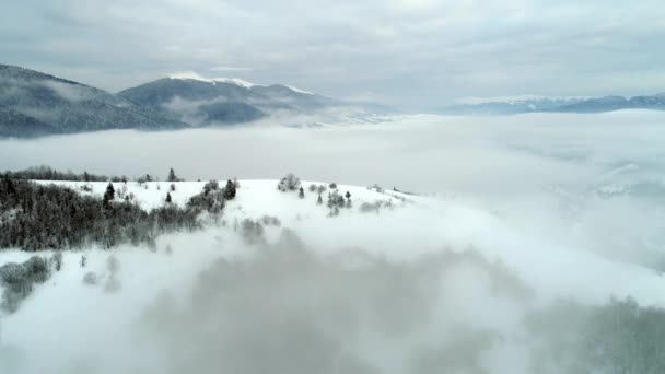 Montanhas Cárpatas no inverno — Vídeo de Stock