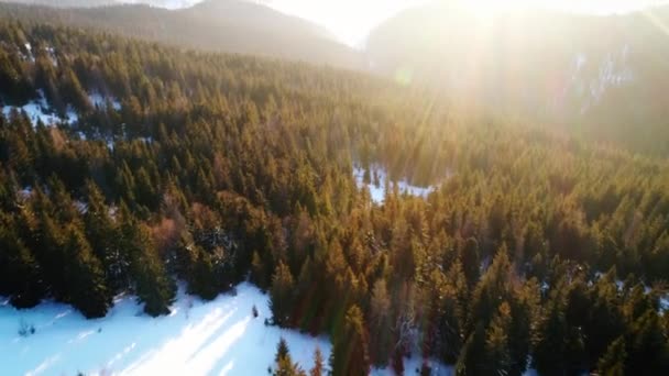 Montagne carpatiche nel tempo di sole — Video Stock