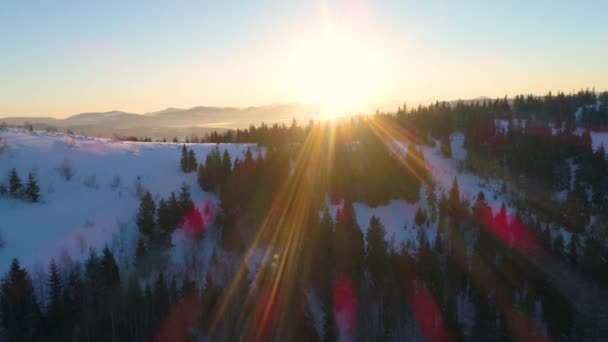 Kış gün batımında Karpat Dağları — Stok video